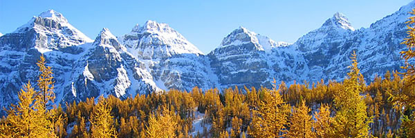 Larch Valley